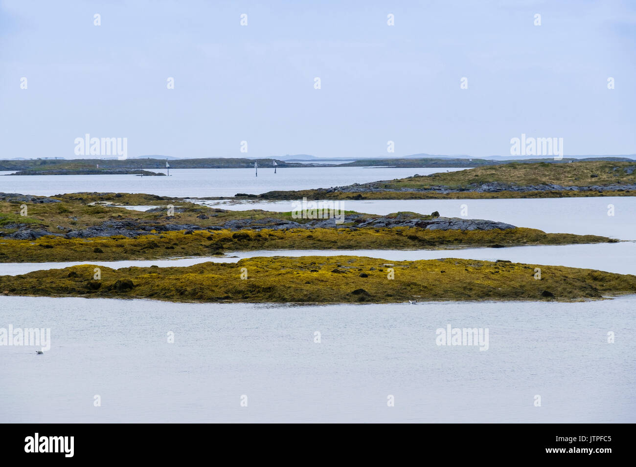 Arktis Strandflat Landschaft mit kleinen Inseln und Inselchen in Trollfjell Geopark an der Westküste. Vega-Insel, Nordland, Norwegen, Skandinavien Stockfoto
