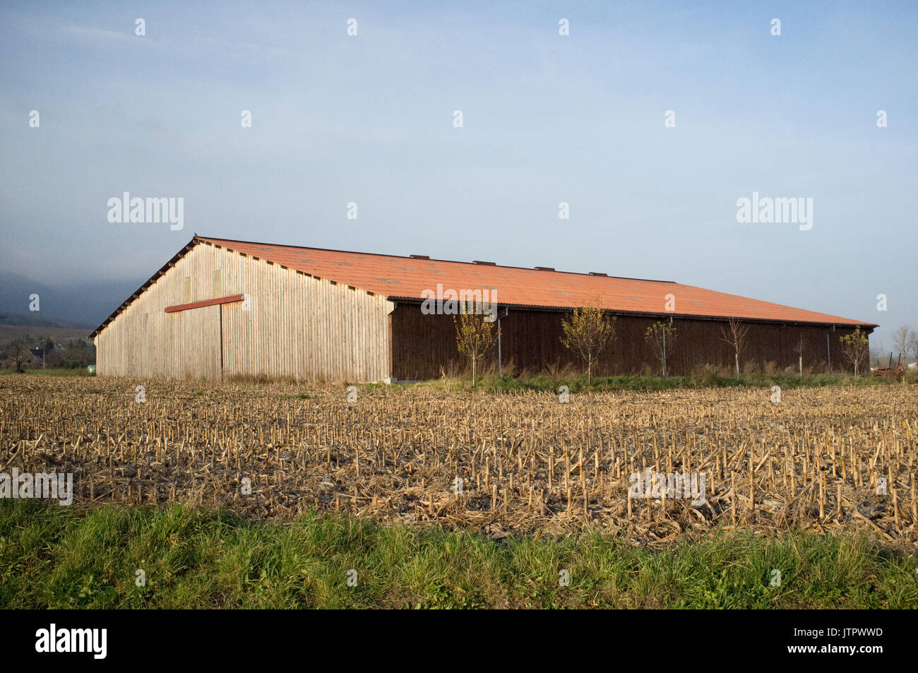 Eine Scheune in der französischen Landschaft Stockfoto