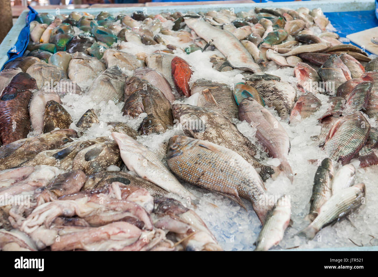 Sammlung von verschiedenen Fisch auf Eis Anzeige an traditionellen Open-Air-Markt Stockfoto