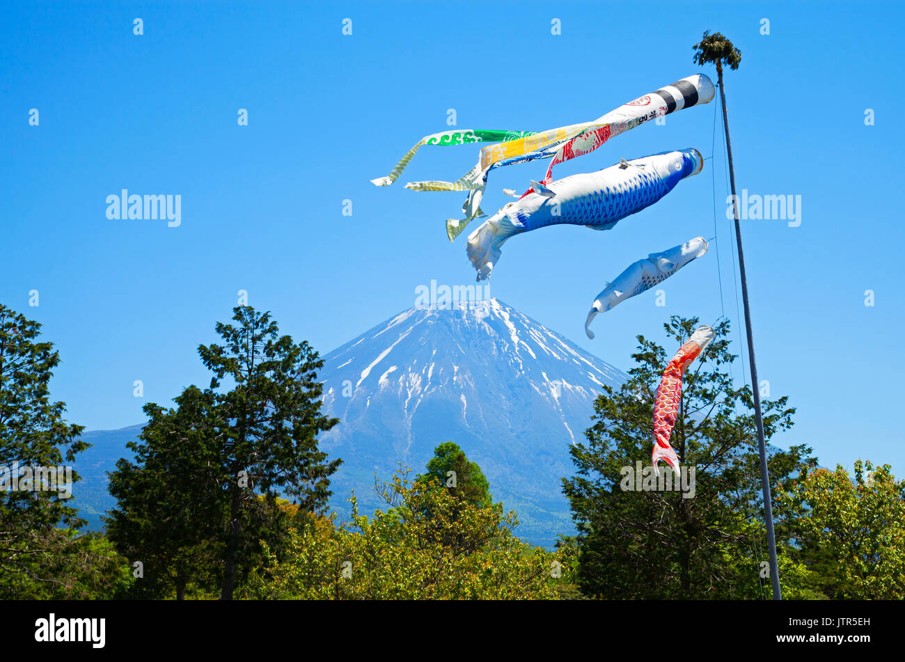 Farbenfrohe Koinobori Carp Kites vor einem klaren blauen Himmel im Asagiri Highlands mit Mt. Fuji im Hintergrund in Japan Stockfoto