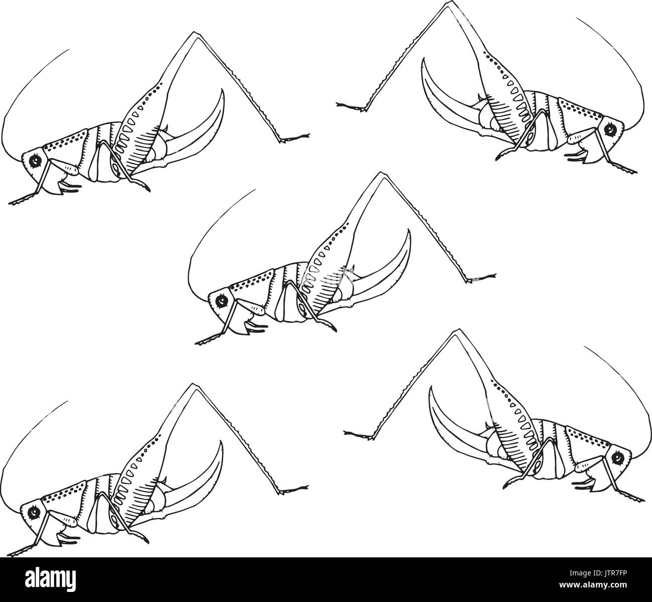 Bush Cricket Feder und Tinte Zeichnung nahtlose Oberfläche Repeat Pattern Stock Vektor