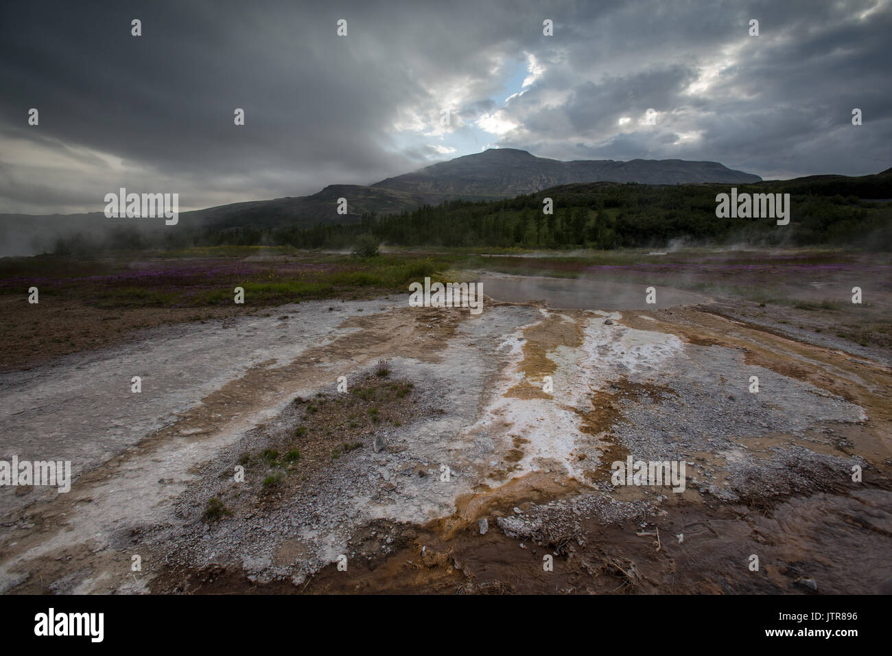 Geysir geothermische Bereich auf der Golden Circle in Island Stockfoto