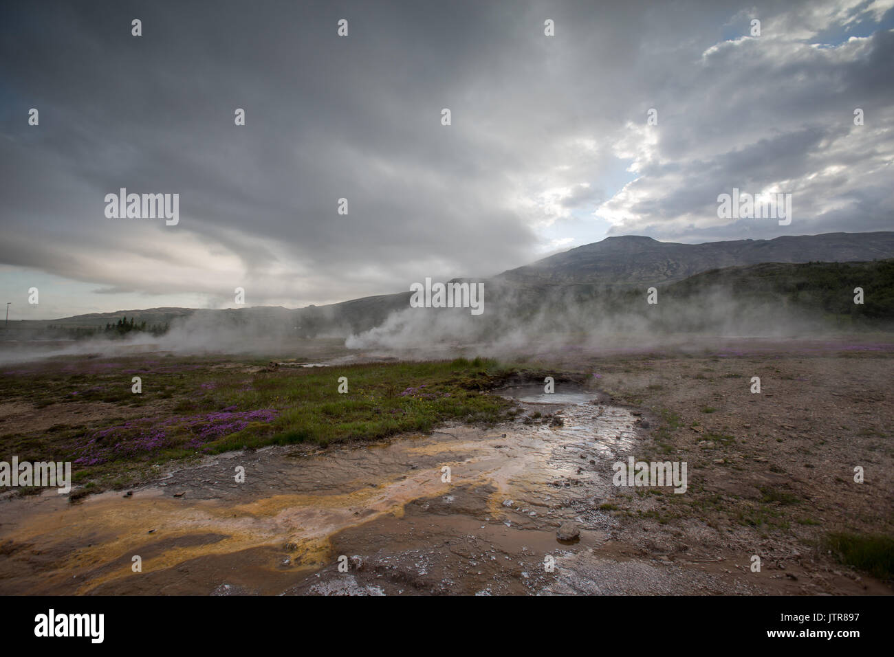 Geysir geothermische Bereich auf der Golden Circle in Island Stockfoto