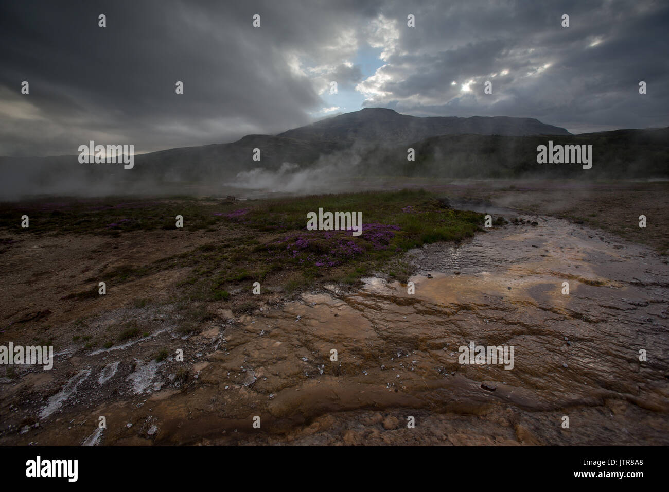 Geysir geothermische Bereich auf der Golden Circle in Island Stockfoto