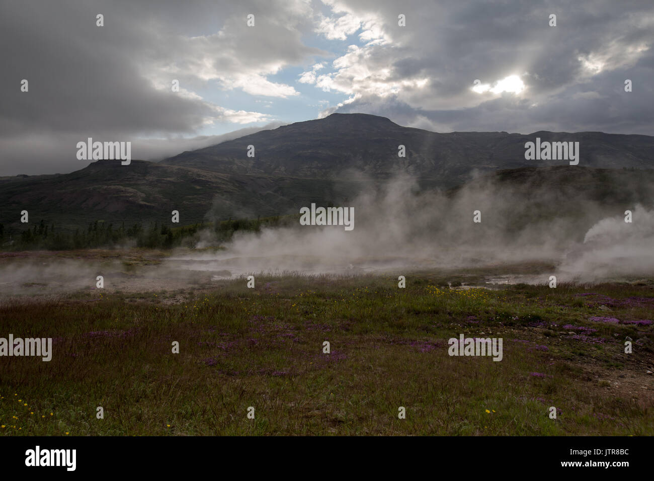 Geysir geothermische Bereich auf der Golden Circle in Island Stockfoto