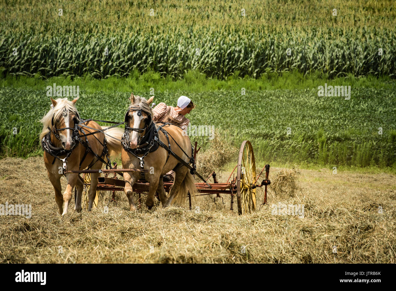 Ernte, dreschmaschine Tage, Displays und Erholung der antiken landwirtschaftliche Geräte und Techniken in Lancaster County. Stockfoto