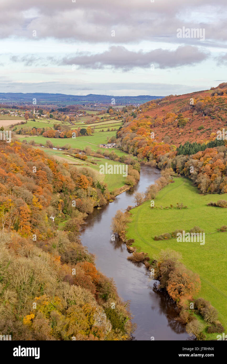Herbst im Symonds Yat Rock, Wye Valley, Herefordshire, England, Großbritannien Stockfoto