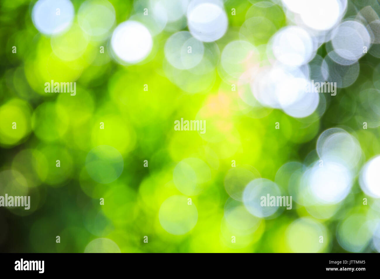 Abstrakte Bokeh und unscharfes grün Natur Hintergrundmodell wird verwendet, um Text einzugeben. Stockfoto