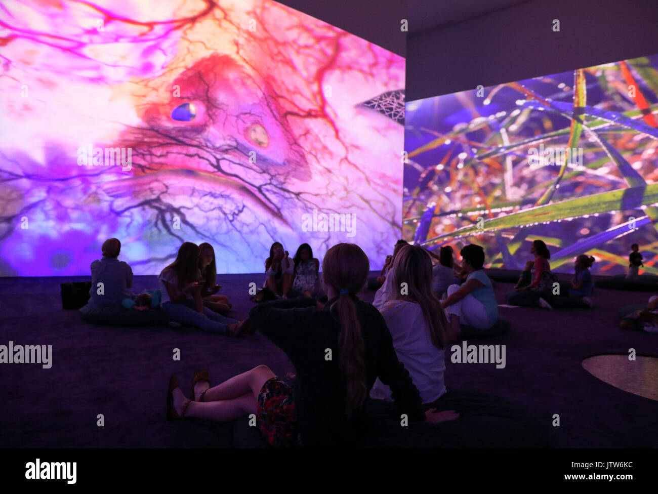 Houston, USA. 10 Aug, 2017. Menschen besuchen die 'Pixel Wald und Sorgen verschwinden, Ausstellung der Schweizer Künstlerin Pipilotti Rist im Museum der bildenden Künste in Houston, USA, 10.08.2017. Credit: Yi-Chin Lee/Xinhua/Alamy leben Nachrichten Stockfoto