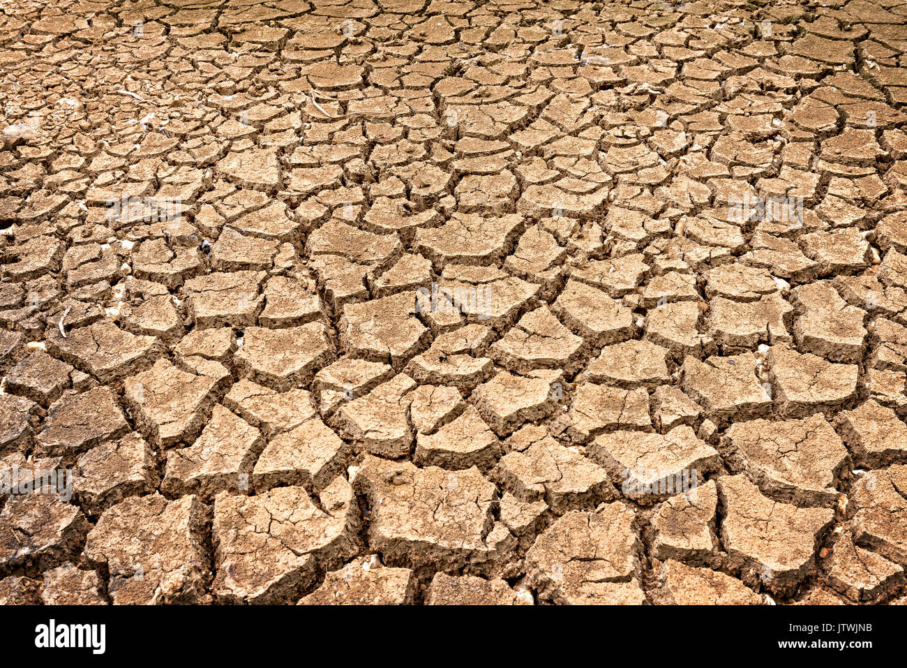 Braune Textur der Polygone der Austrocknung durch Dürre verursachten Stockfoto