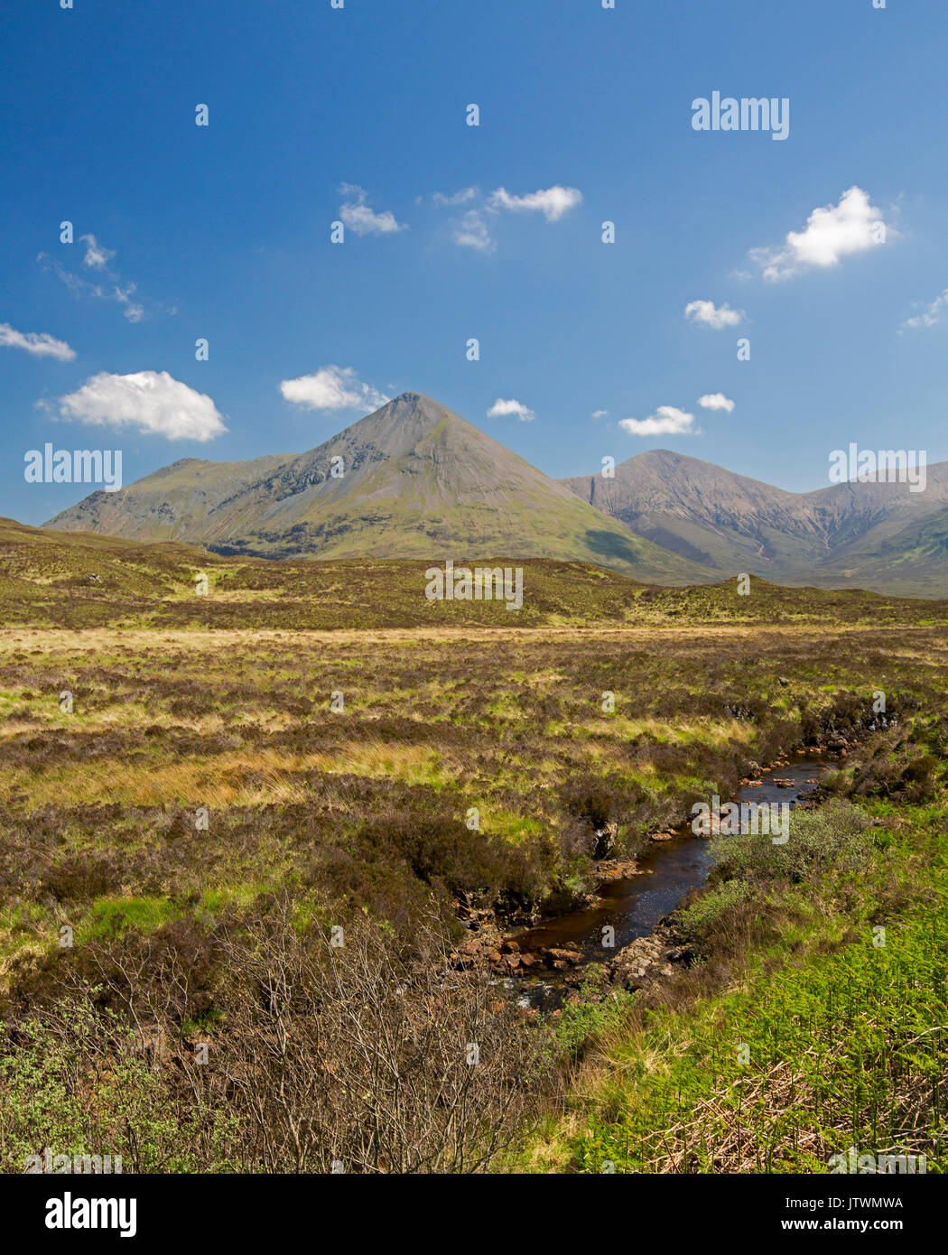 Landschaft mit Heide, streamen und conicalo Gipfeln der Berge auf der Insel Skye, Schottland Stockfoto