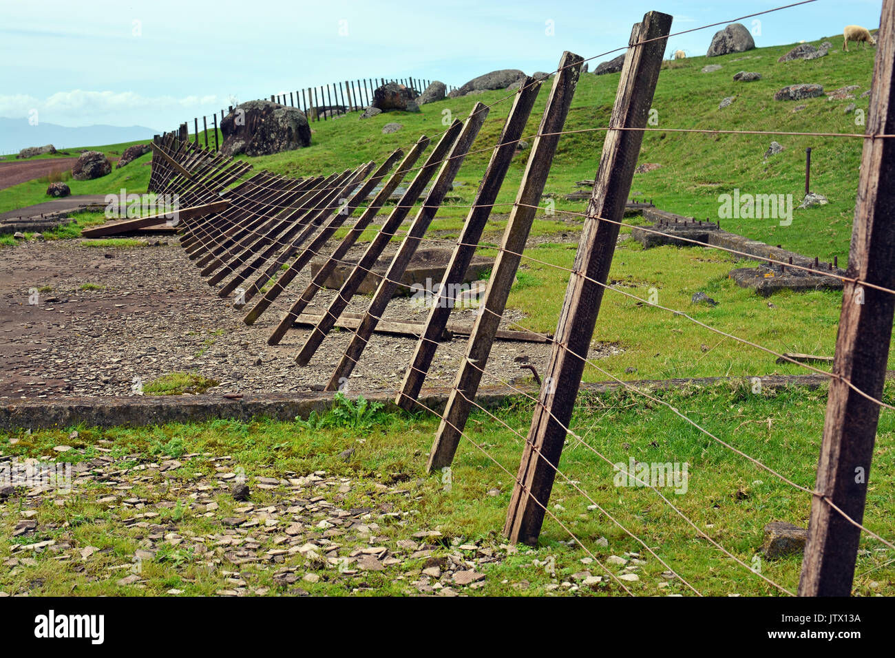 Wind zauns an der steinigen Teig auf Waiheke Island, Auckland, Neuseeland geblasen. Stockfoto