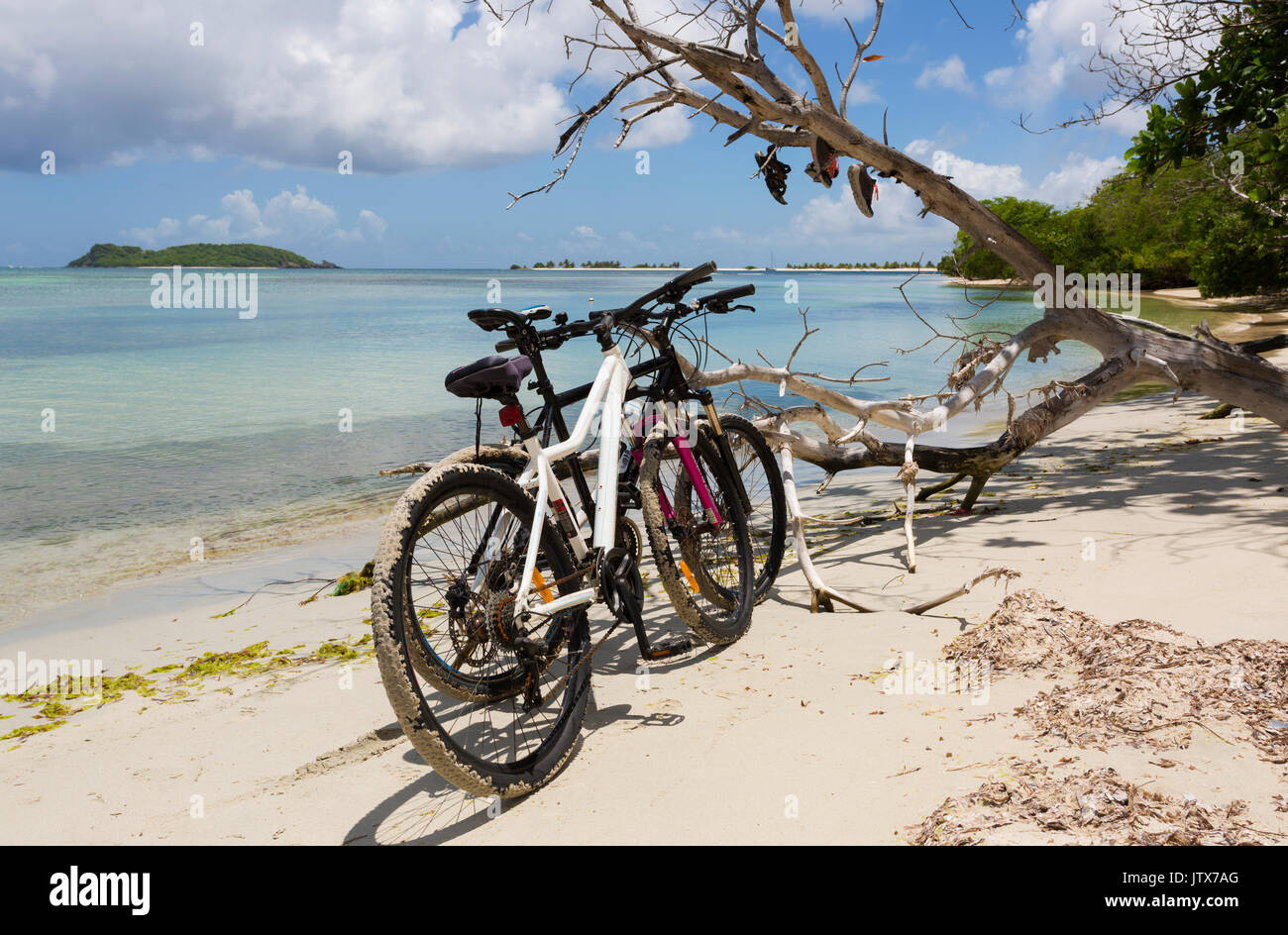 Zwei Fahrräder an einem tropischen Strand links mit Schuhen links hängen in einem Baum, kein Volk Stockfoto