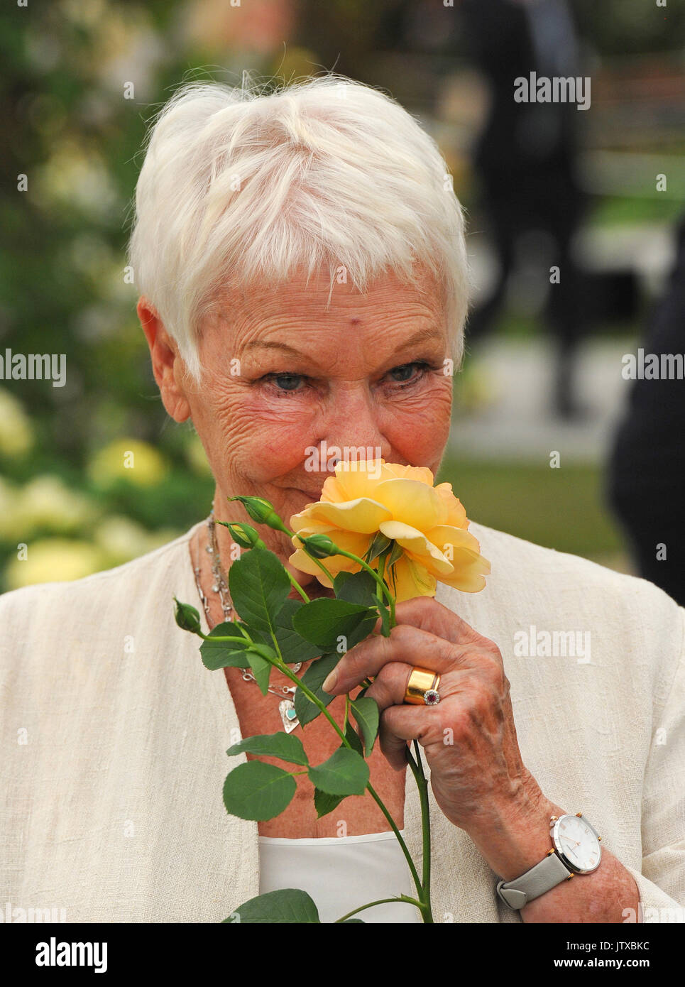 Schauspielerin Dame Judi Dench eine Rose riecht nach ihrem an der Royal Horticultural Gesellschaften Chelsea Flower Show genannt. Stockfoto