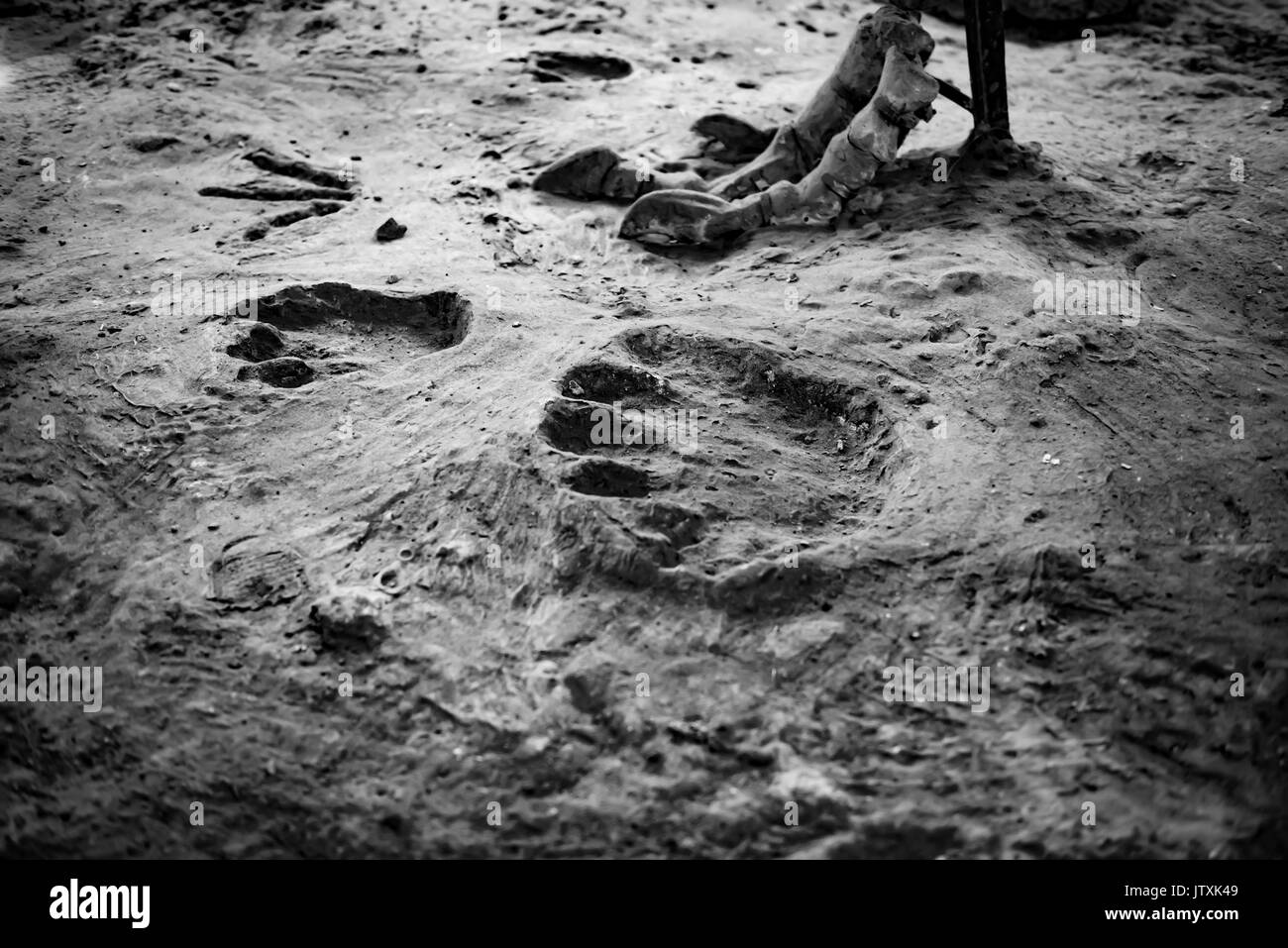 Dinosaur Footprint und dem Fuß auf Hintergrund Stockfoto