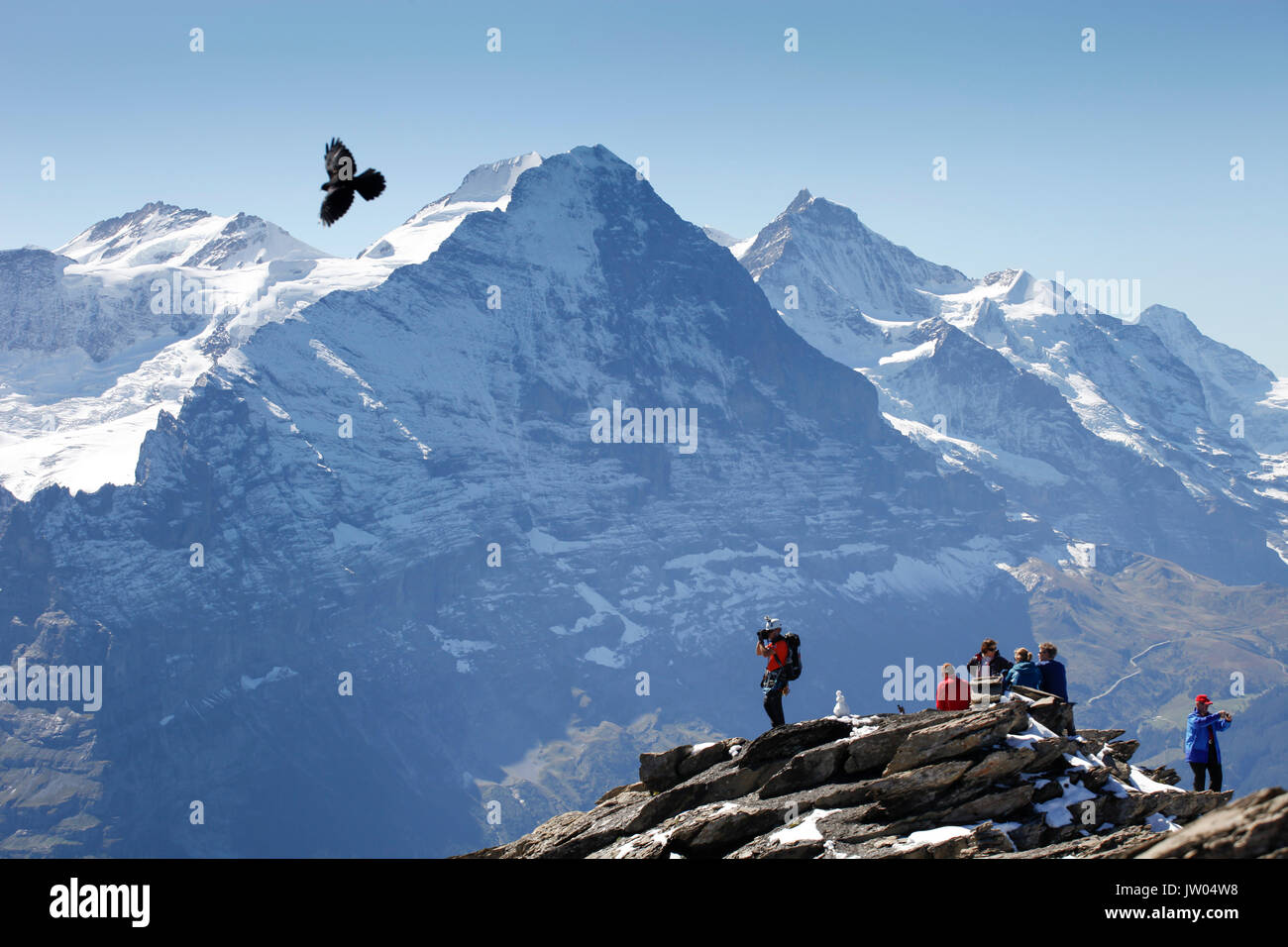 Kletterer sind auf das Schwarzhorn, einem Berg oberhalb Grindelwald in den Schweizer Alpen. Die berühmte Eiger Nordwand ist im Hintergrund. Eine schwarze Krähe fliegt über die Gipfel. Stockfoto
