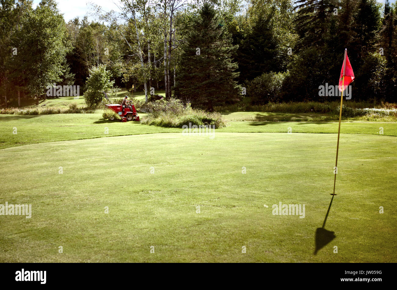 Rocky, der alleinige Eigentümer und Betreiber der Stimmung Meadows Golf Kurs kann gesehen werden, den Rasen zu mähen, um Eins der Grüns am Golfplatz. Â Stockfoto
