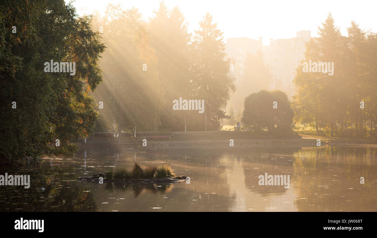 Morgen Sonnenstrahlen im City Park See Stockfoto