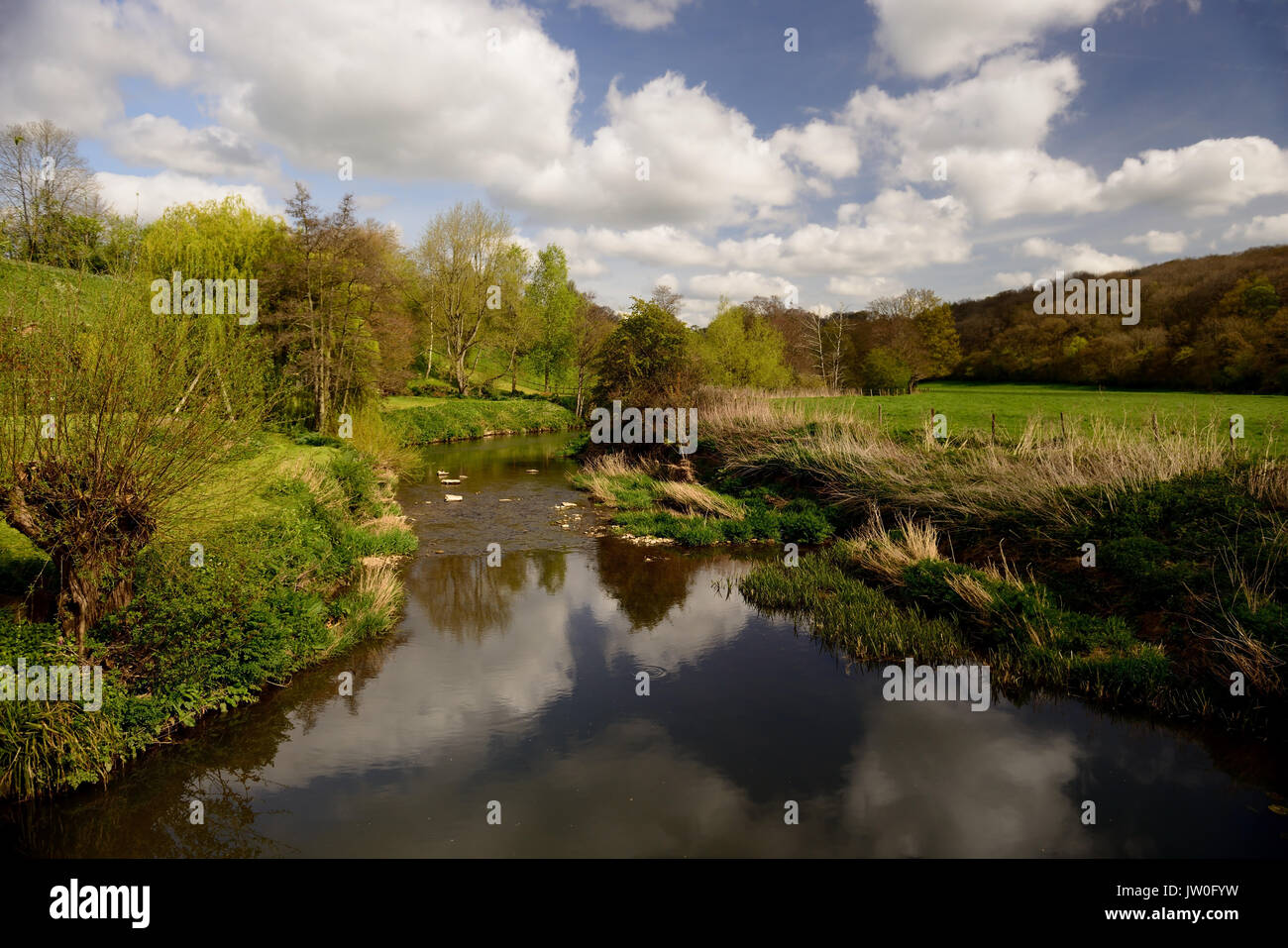 Der Fluss Frome an Tellisford die Grenze zwischen der Grafschaft Somerset (links) und Wiltshire. Stockfoto