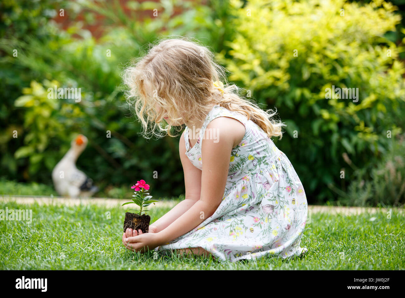 Kleine blonde Mädchen, dass junge Blume Pflanze in den Händen auf grünem Hintergrund. Stockfoto