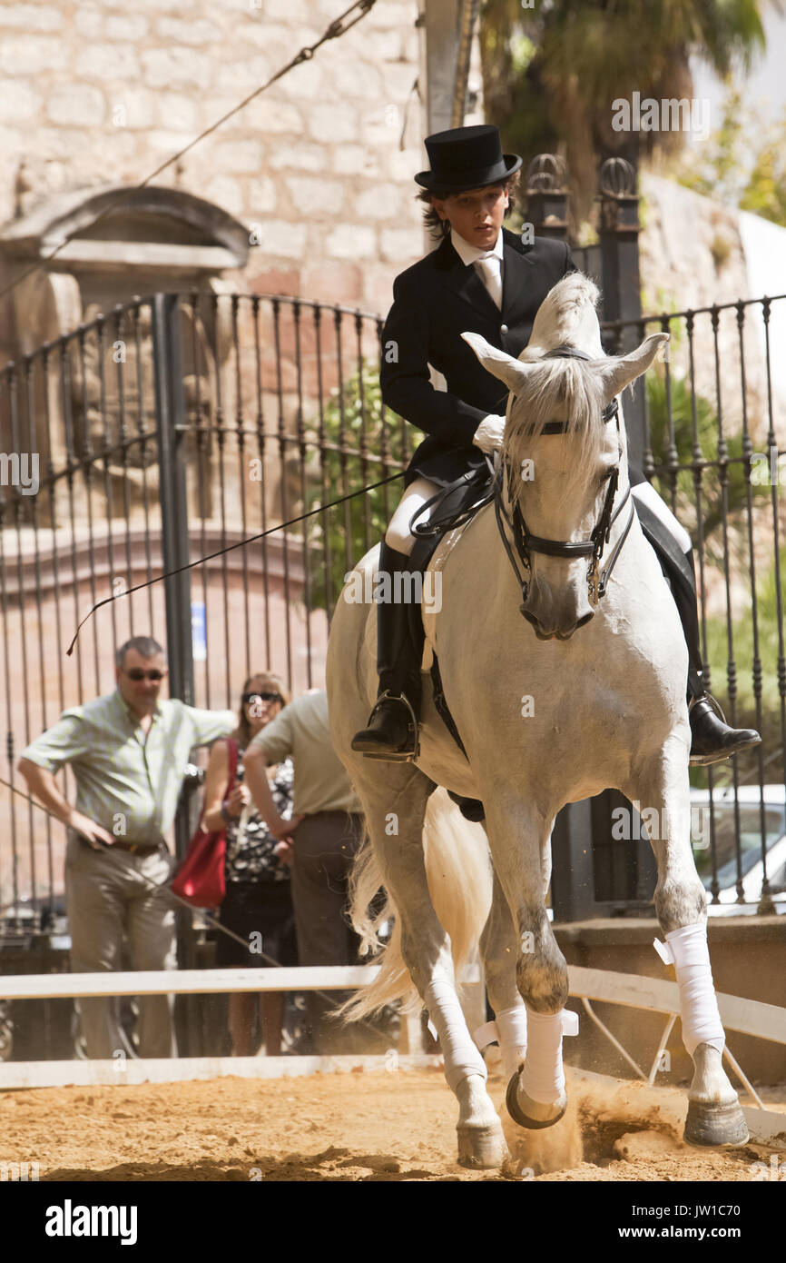 Reiter Weltmeisterschaft von High School, Andujar, Andalusien, Spanien Stockfoto