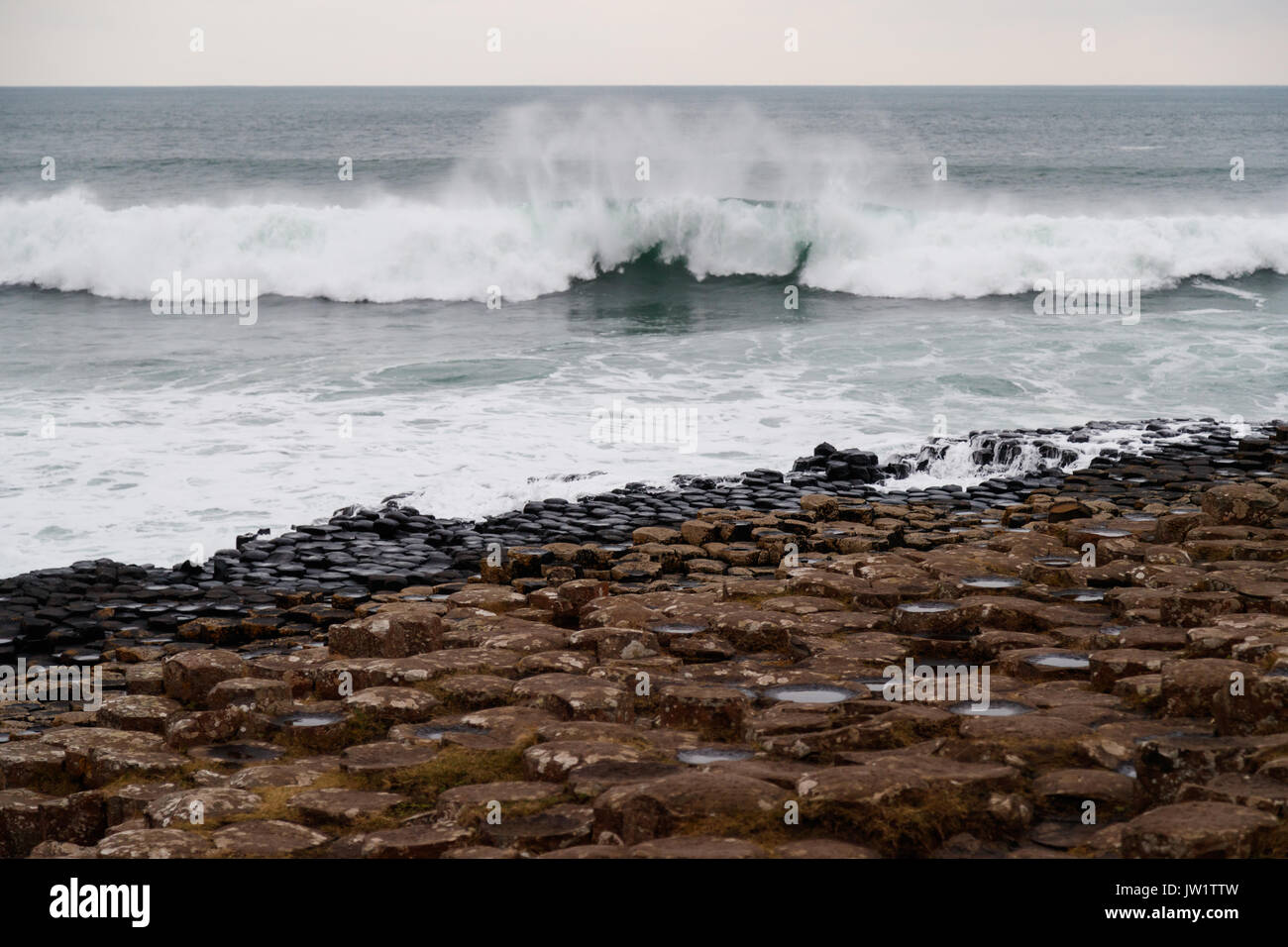 Giants Causeway Stockfoto