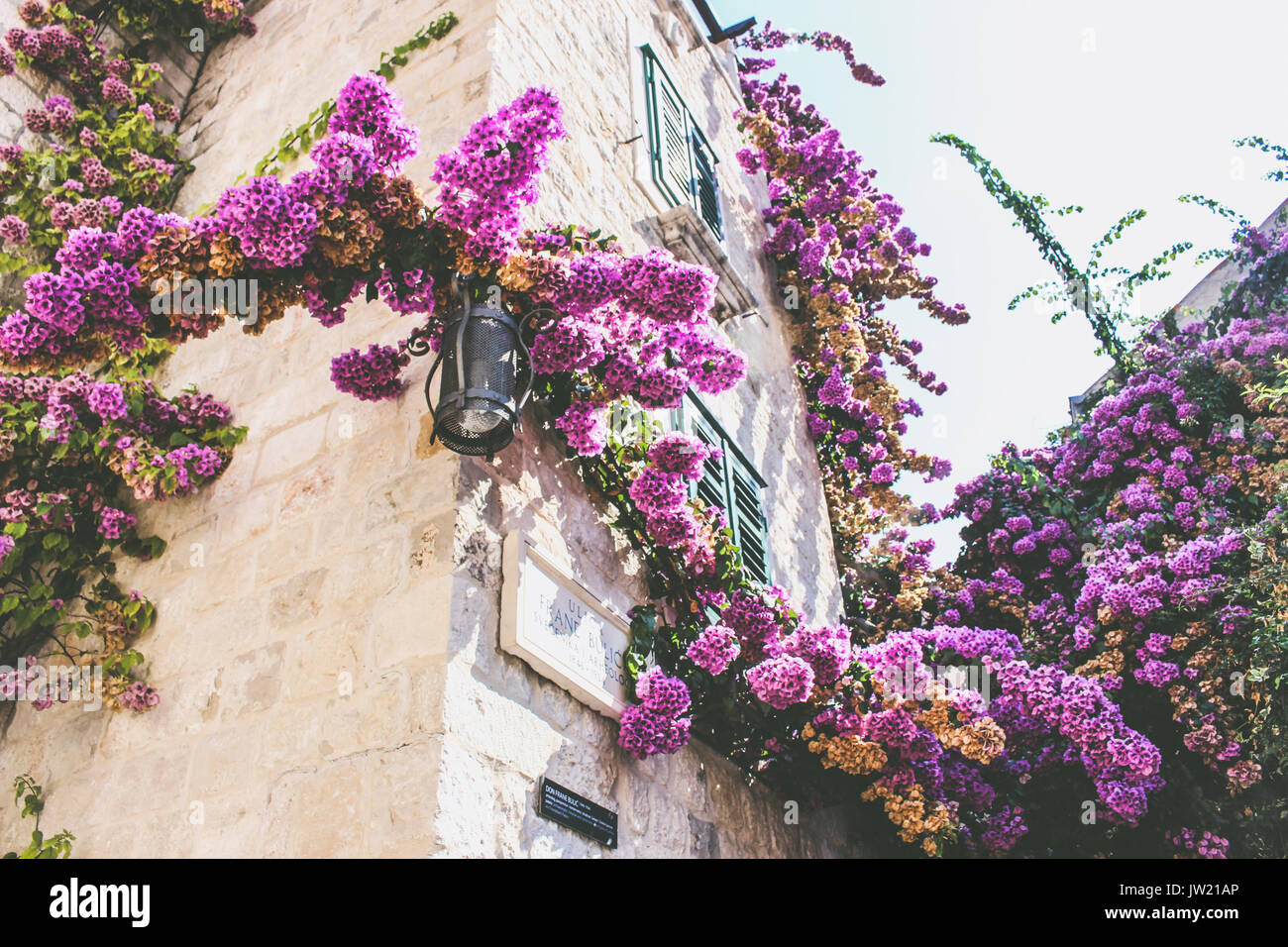 Gebäude mit Blumen im Diokletianpalast, Split, Kroatien Stockfoto