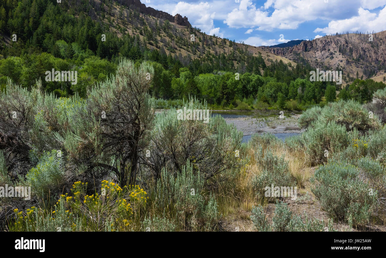 Semi-ariden Landschaft mit verschiedenen Flora und Blick von Shoshone River mit Ausläufern der Rocky Mountains im Hintergrund in der Nähe von Cody, Wyoming, USA. Stockfoto