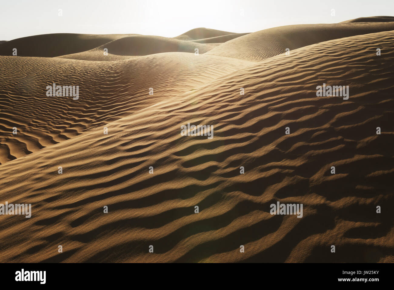 Desert sand Dünen mit dunklen Schatten bei Sonnenuntergang in der Wüste Sahara in Marokko. Stockfoto