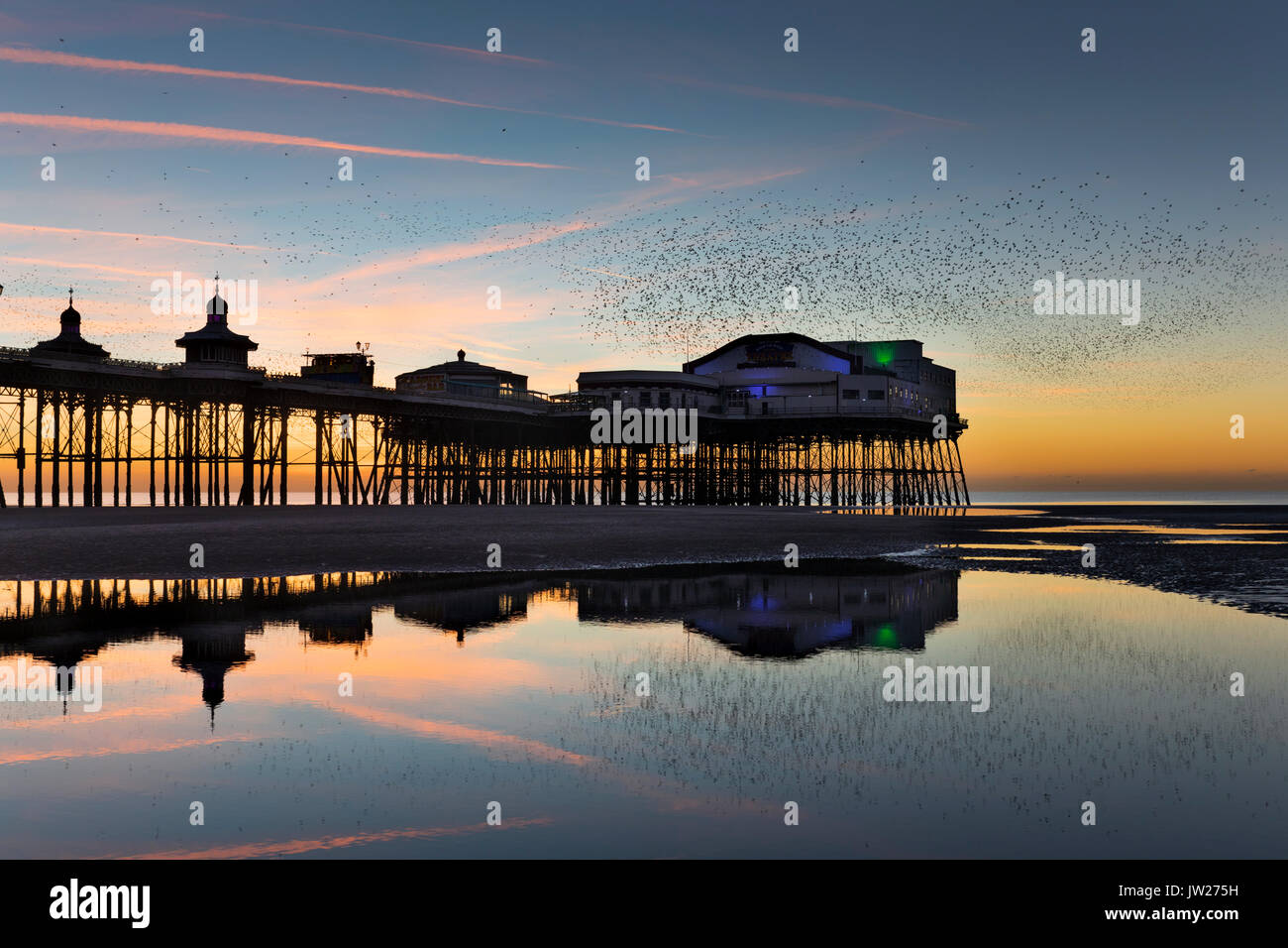 Starling; Sturnus vulgaris Schwarm, der nach Roost am Sunset North Pier kommt; Blackpool; Großbritannien Stockfoto