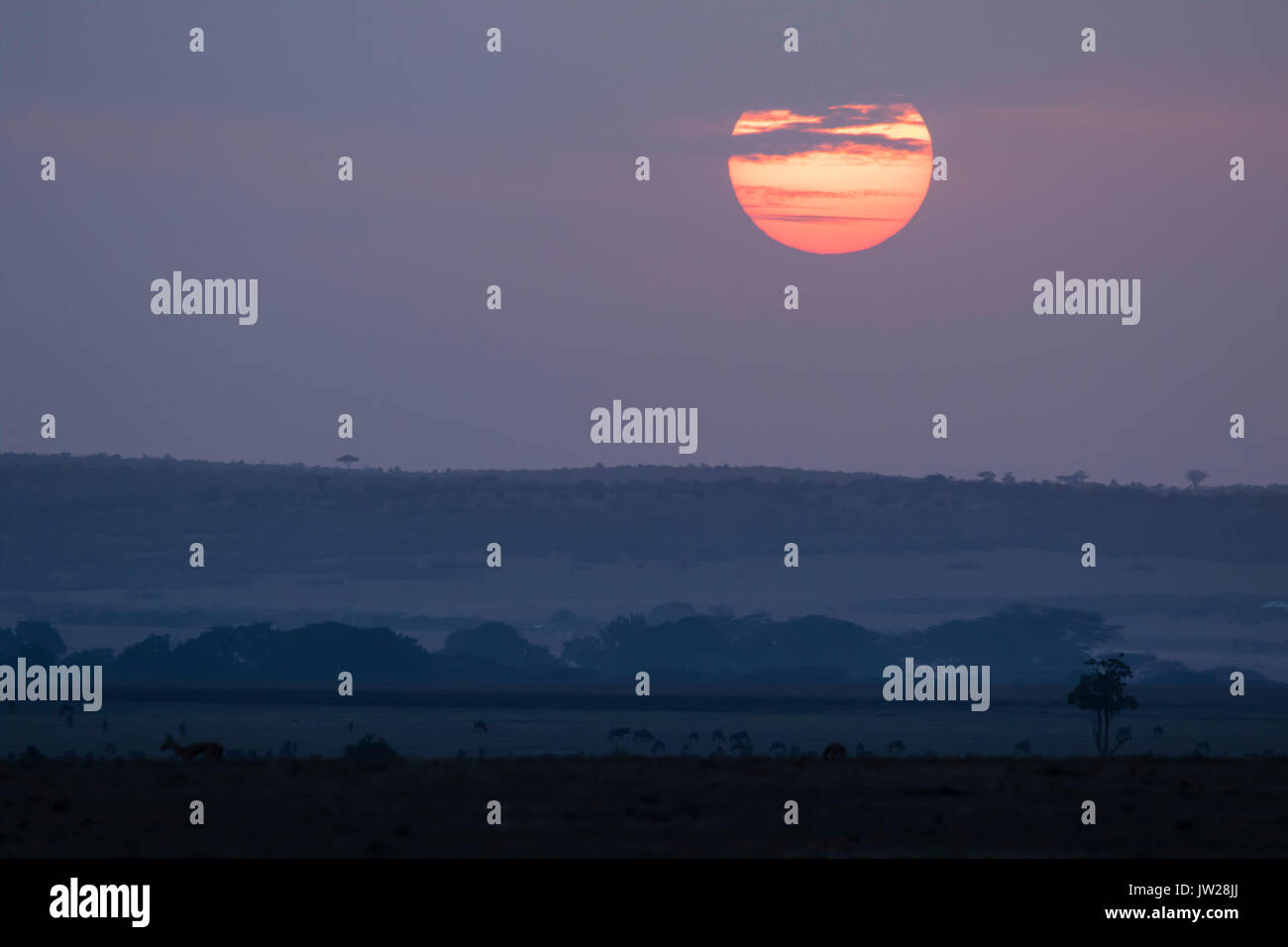 Sonnenaufgang an der afrikanischen Savanne Stockfoto Sonnenaufgang an der afrikanischen Savanne Stockfoto