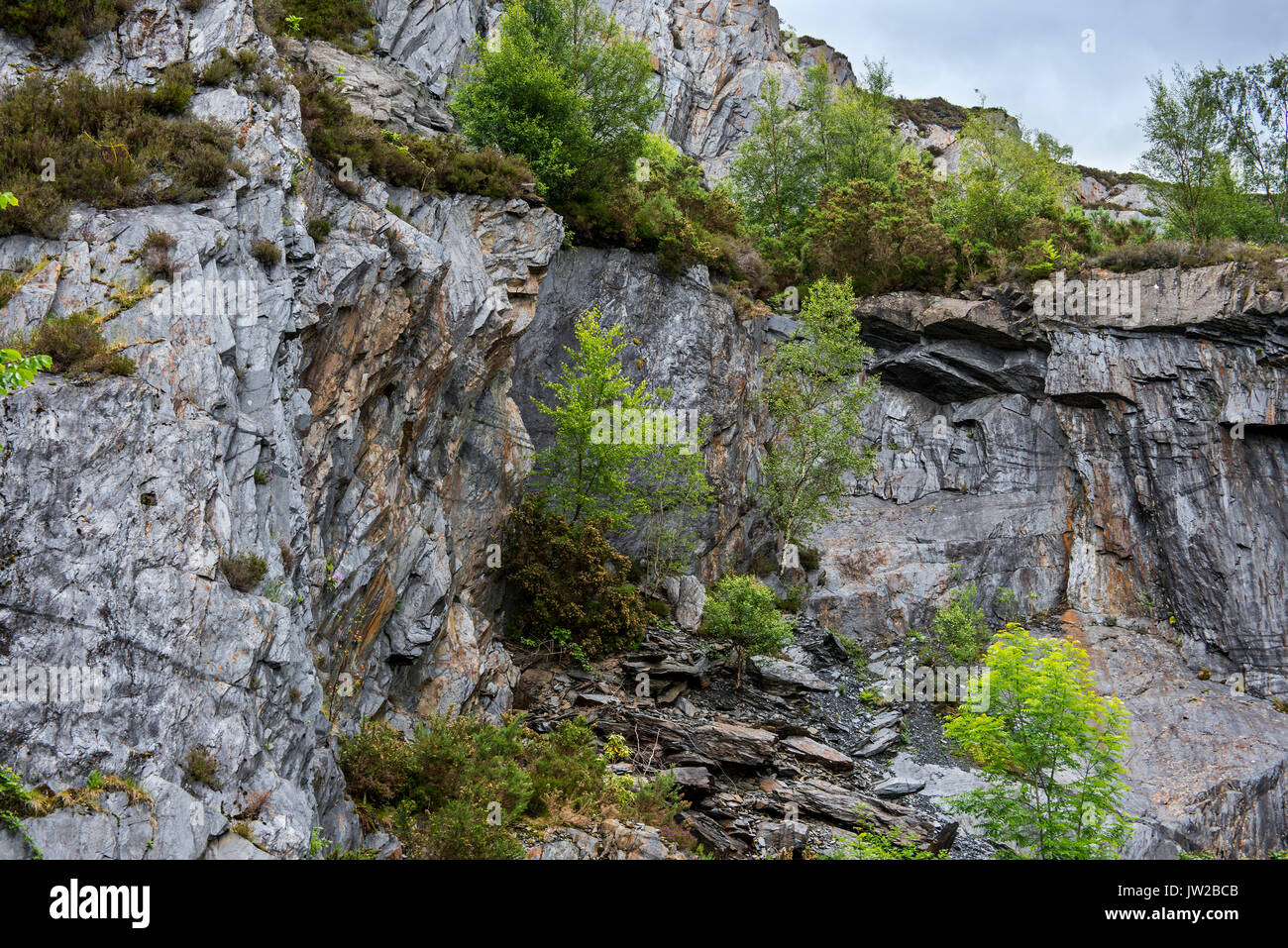Ballachulish Schiefergrube, bewachsene Felsen, Lochaber, Highland, Schottland, UK Stockfoto