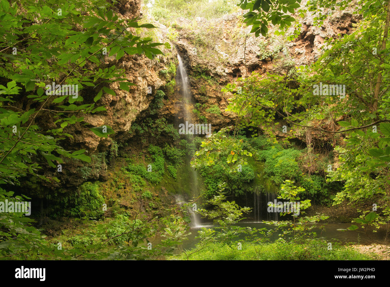 Natürliche, halbschattigen Wasserfall laufen in einem kleinen Pool, umgeben von Bäumen Stockfoto