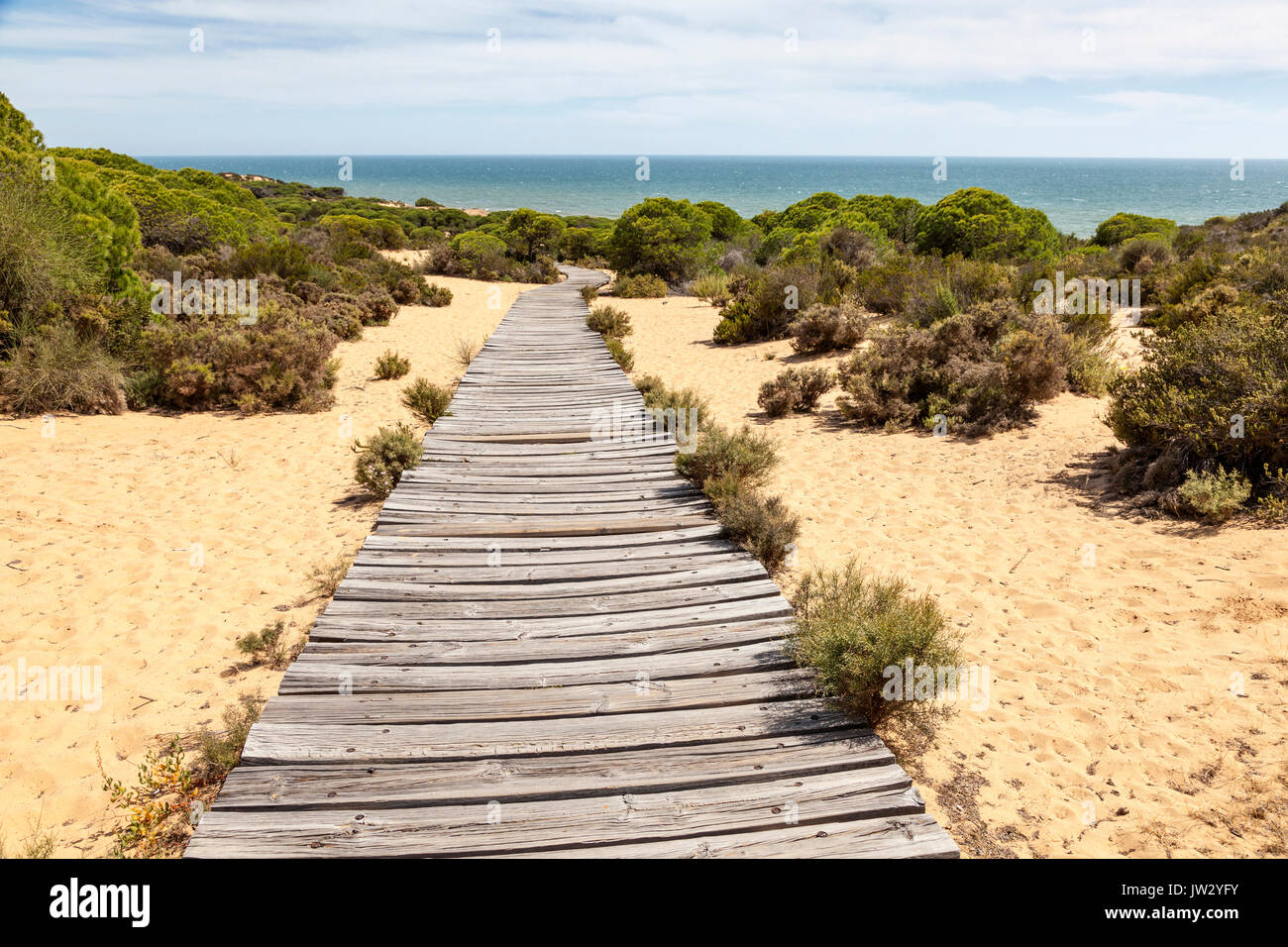 Holzsteg im asperillo Dünen, Donana Naturpark, Matalascañas, Provinz Huelva, Costa de la Luz, Andalusien, Spanien Stockfoto