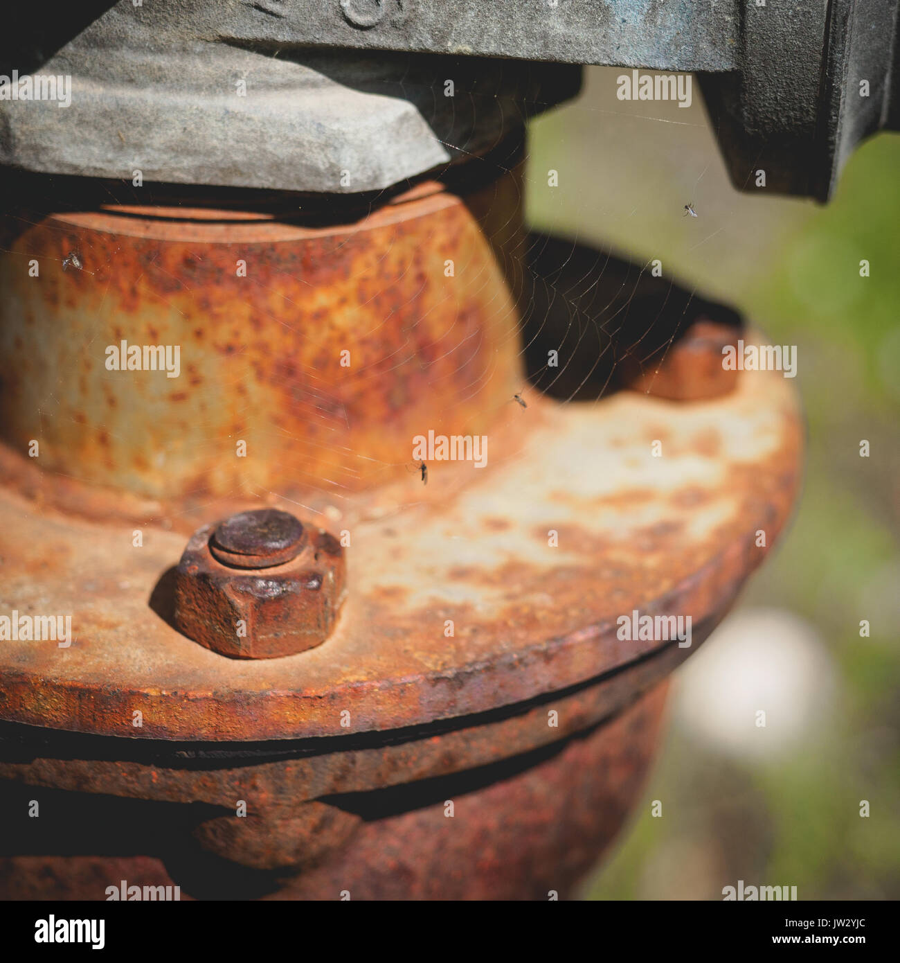 Nahaufnahme der rostigen Schrauben auf alte Wasserpumpe Rohrleitungsflanschen. Quadratischen Format. Stockfoto