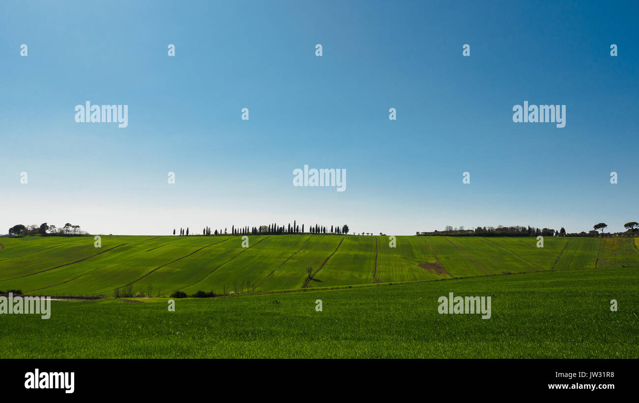 Typische Val d'Orcia Landschaft in der Toskana, Italien. Stockfoto