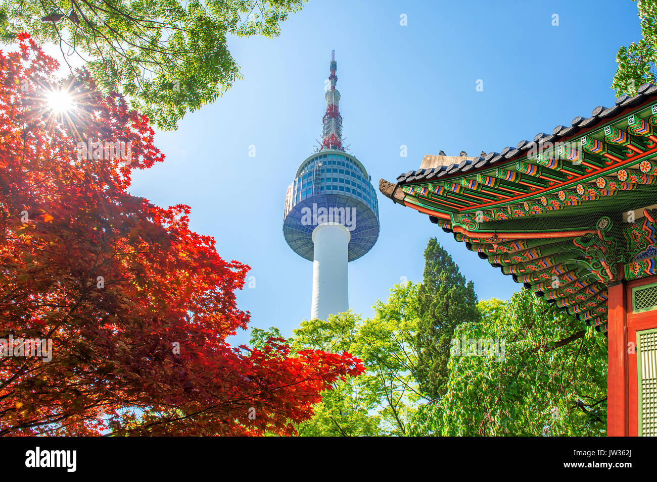 Seoul Tower mit gyeongbokgung Dach und roten Herbst Ahorn Blätter am Namsan Berg in Südkorea. Stockfoto
