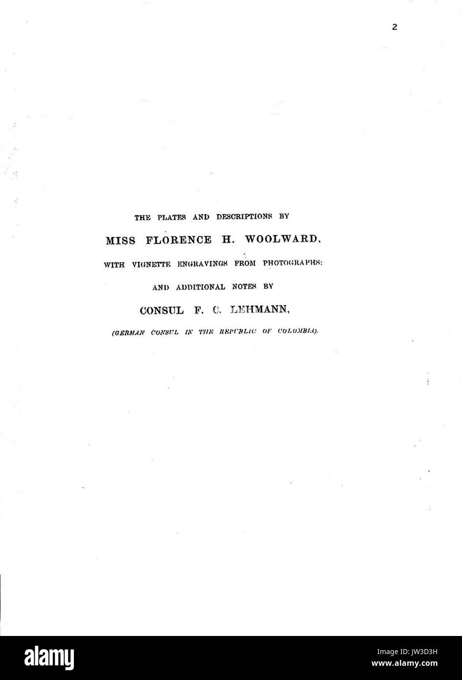 Die Gattung Masdevallia AA Titel 2 Stockfoto