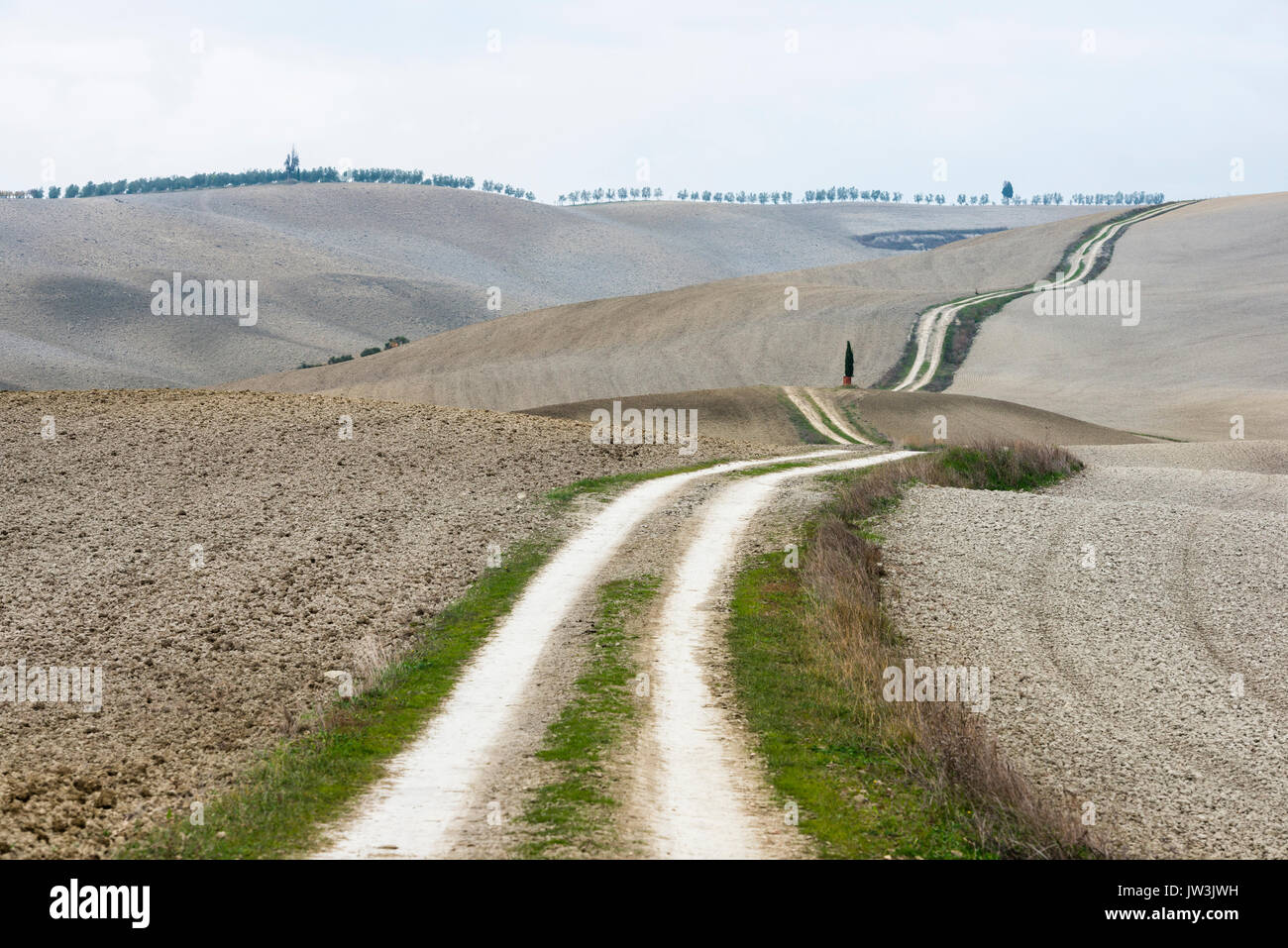 Italien, Toskana, San Quirico d'Orcia, lange verdrehen ländlichen Straße durch endlose graue Felder und einsame Zypressen Stockfoto