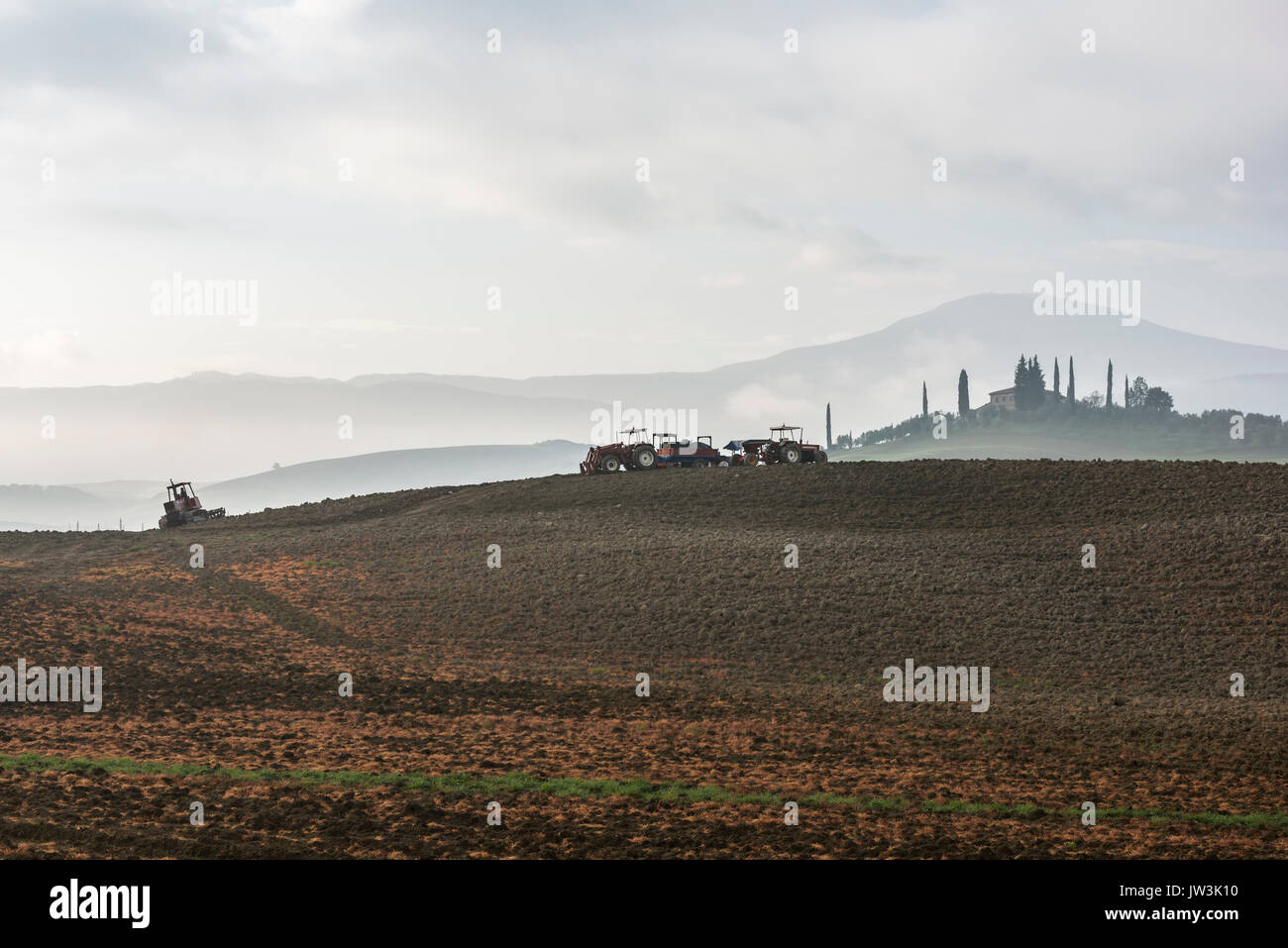 Italien, Toskana, Castiglione d'Orcia, Traktoren auf Grau gepflügten Land und fernen Zypressen rund um Villa im Nebel verschwinden Stockfoto