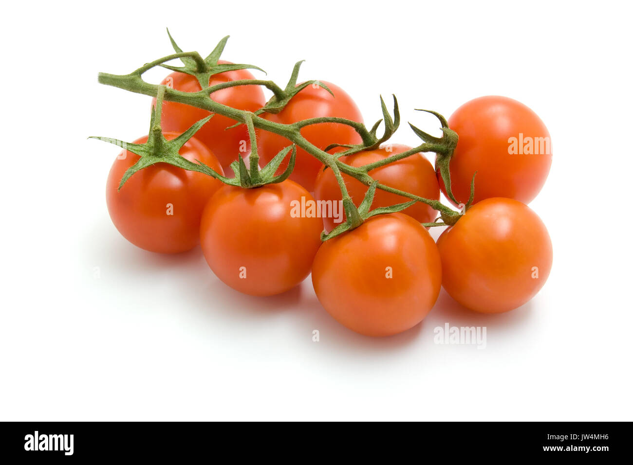 Reif frische Kirschtomaten auf Zweig isoliert auf weißem Hintergrund im Studio Stockfoto