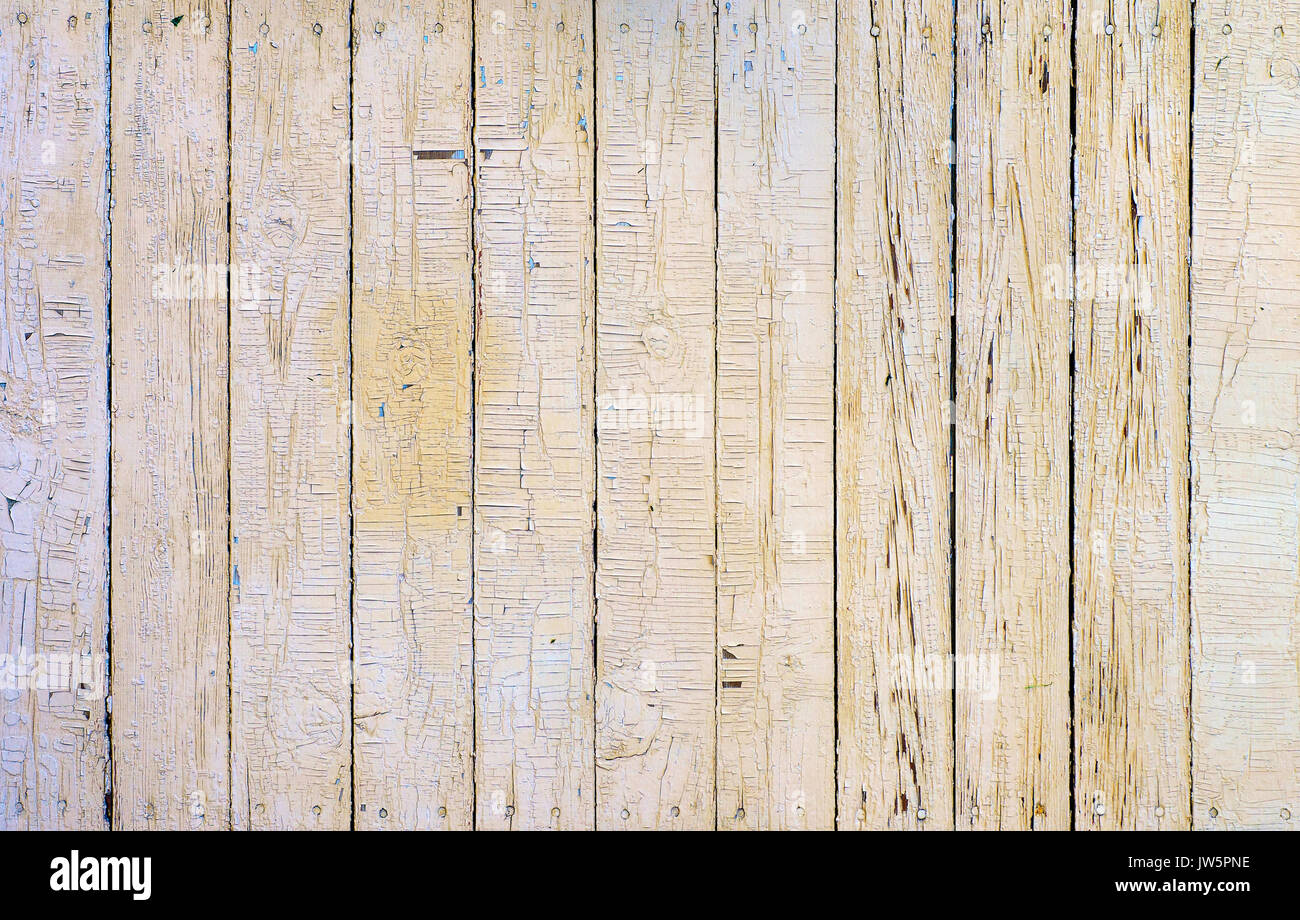 Alte beschädigt aus hellem Holz Oberfläche mit abblätternder Farbe Stück als Hintergrund- oder Textur Stockfoto
