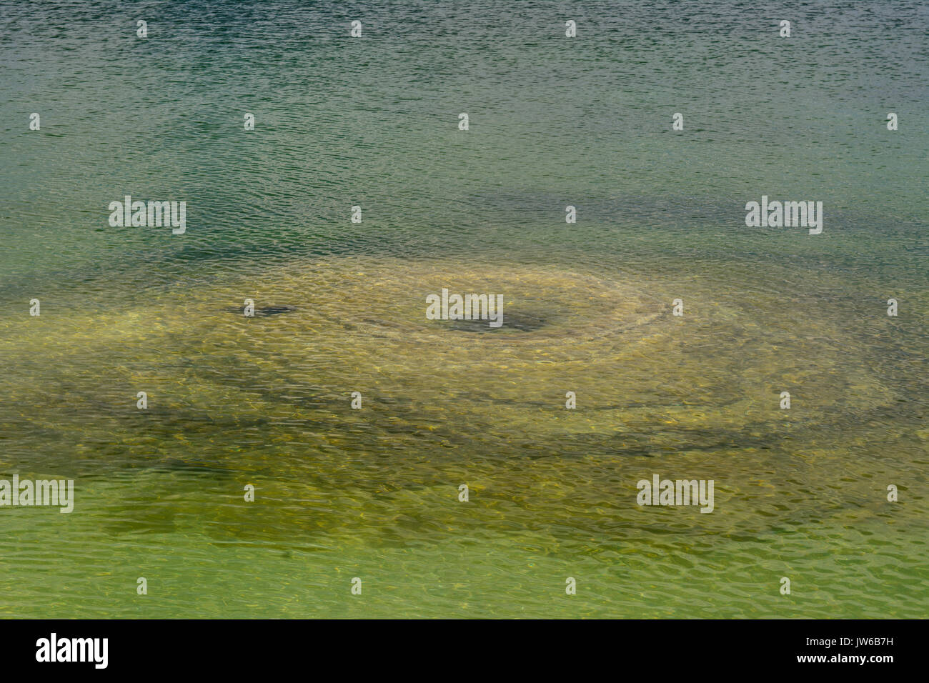 Unterwasser heißen Quellen im Yellowstone National Park Stockfoto