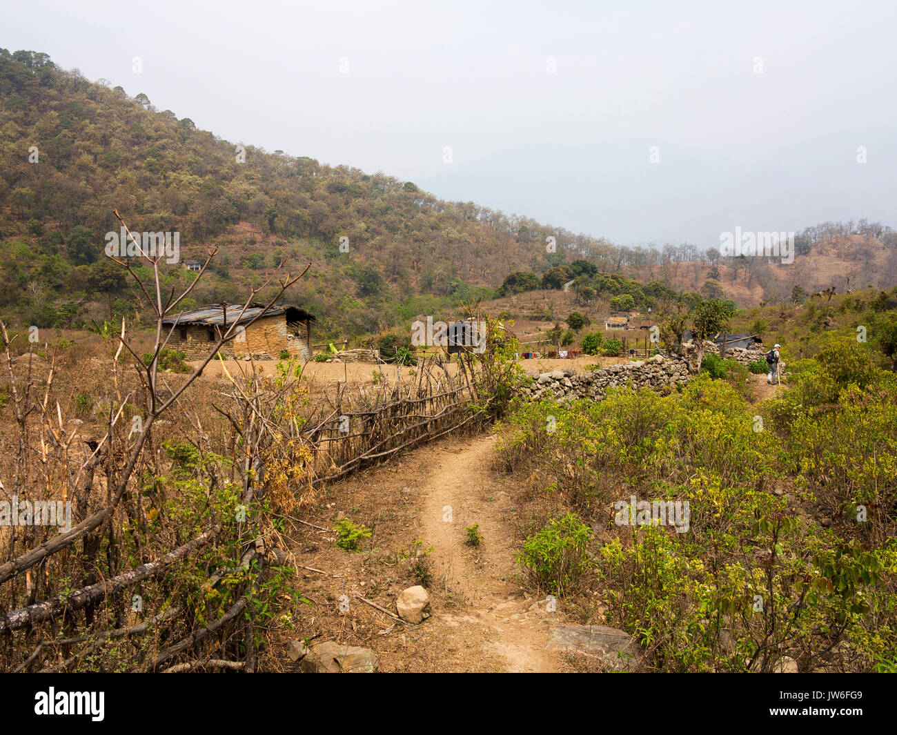 Häuser auf der Fernbedienung Kot Kendri Dorf auf Kumaon Hügel, Uttarakhand, Indien Stockfoto