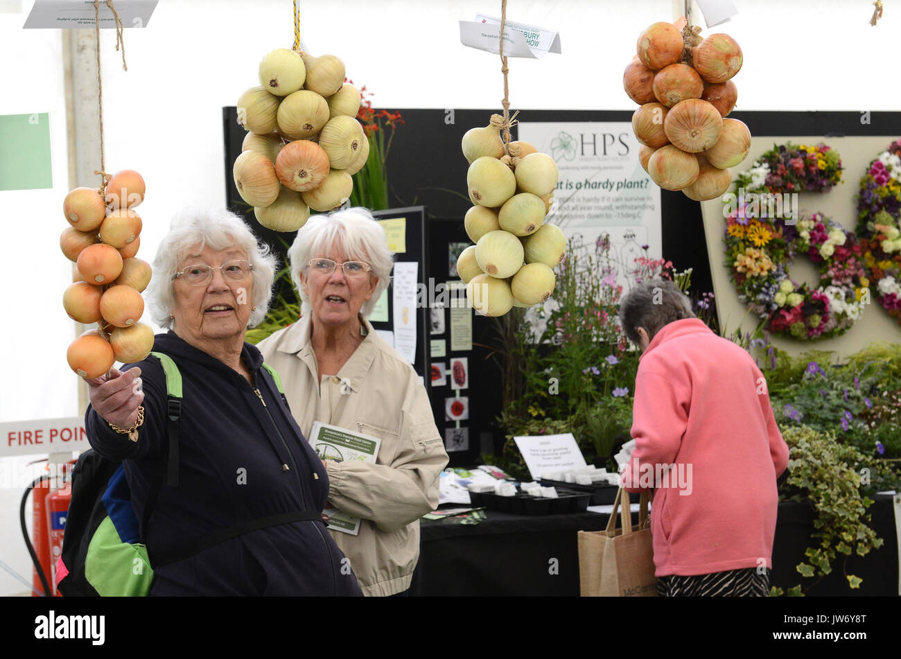 Shropshire, Großbritannien. 11 August, 2017. Besucher die Exponate der jährlichen Shrewsbury Flower Show in Shropshire. Die zweitägige Veranstaltung ist heute offen und am Samstag. Quelle: David Bagnall/Alamy leben Nachrichten Stockfoto