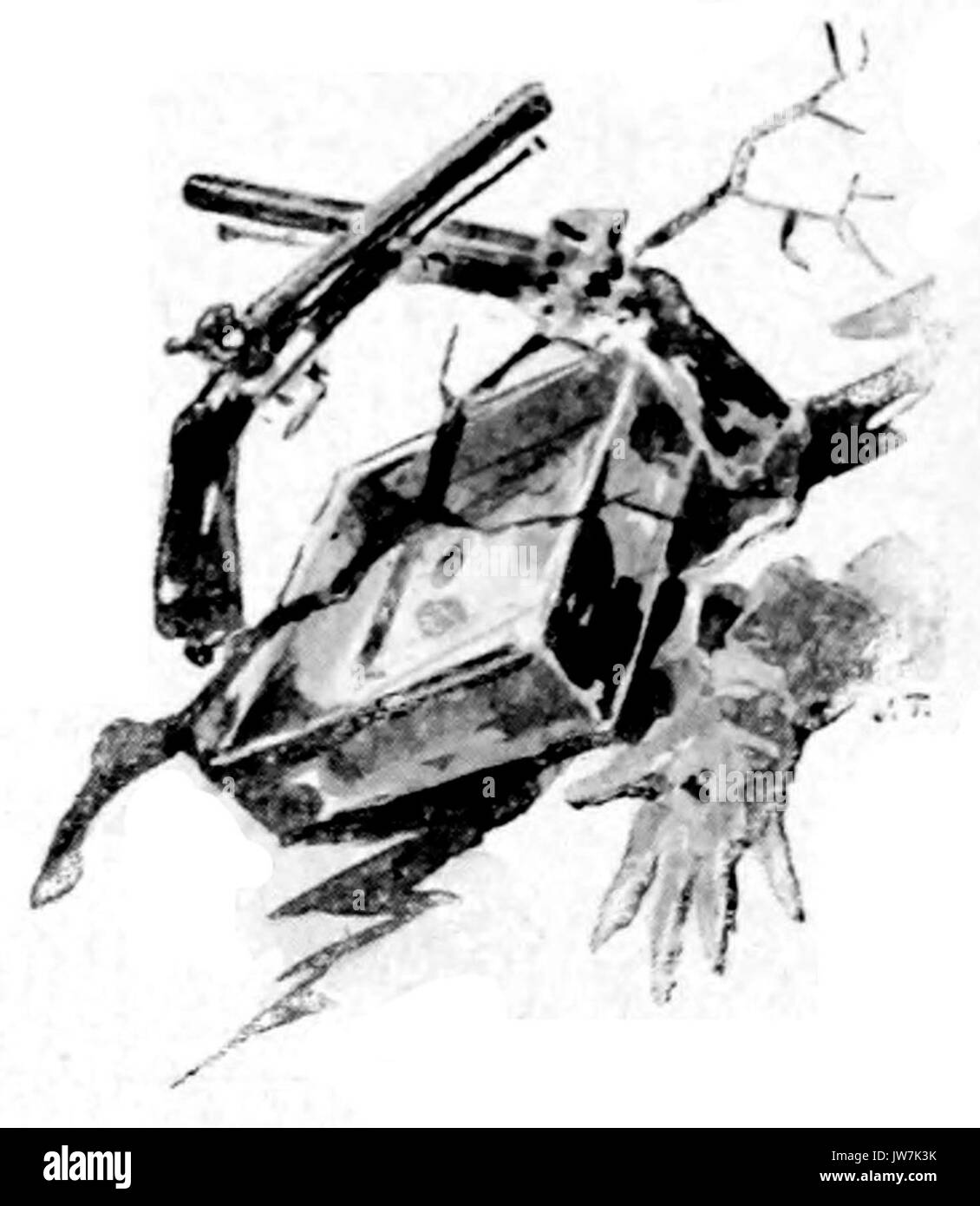 Patria Esercito Re p028 Stockfoto