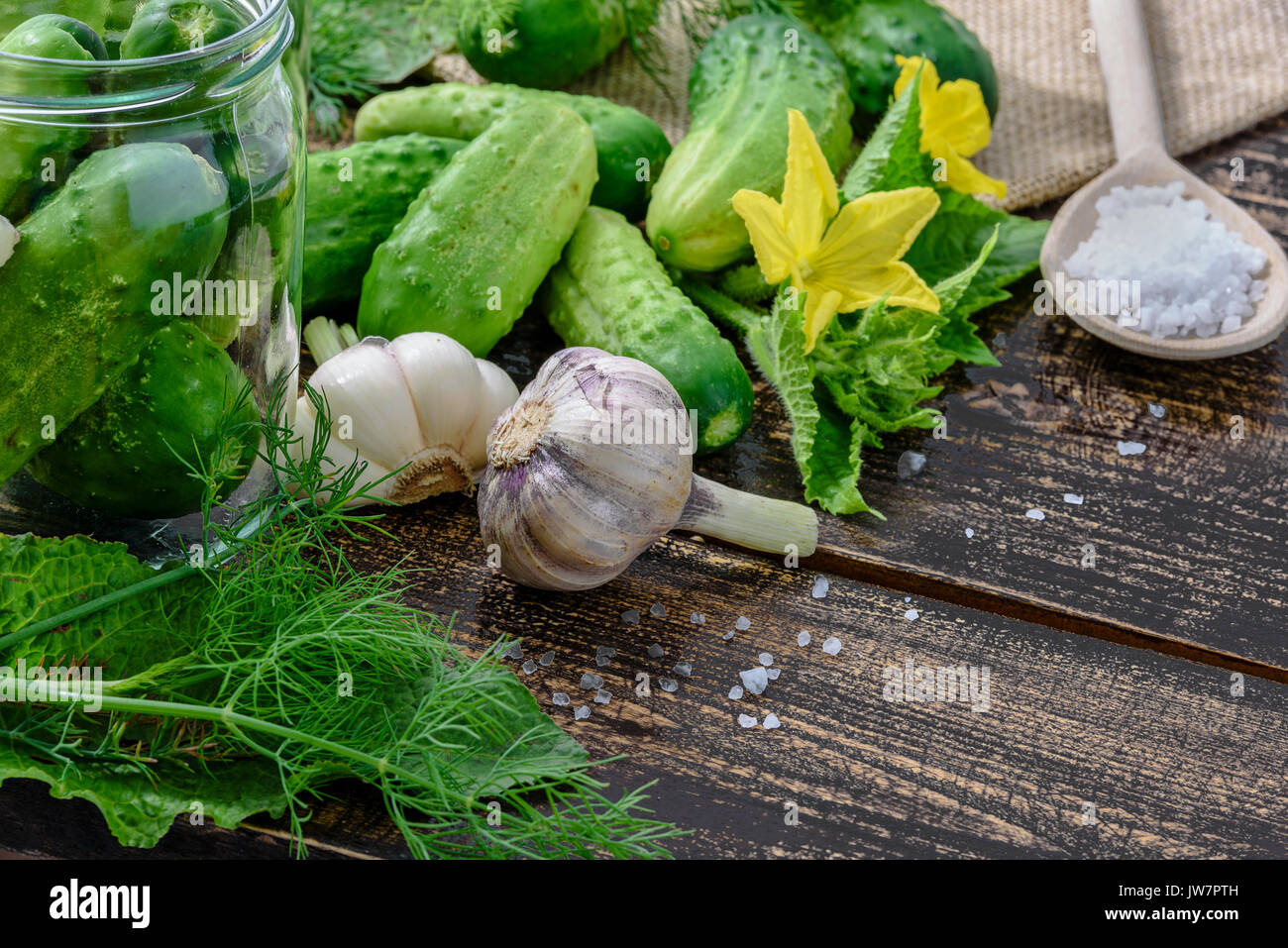 Das Konzept der Bestandteile von hausgemachten Marmeladen - Gläser Salzgurken auf einen hölzernen Tisch neben raw Grün Masse Gurken, Dill, Salz, gar Stockfoto
