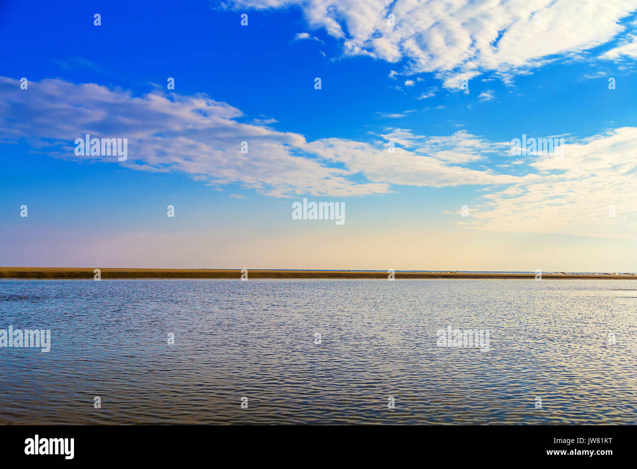 Marine Natur Stockfoto