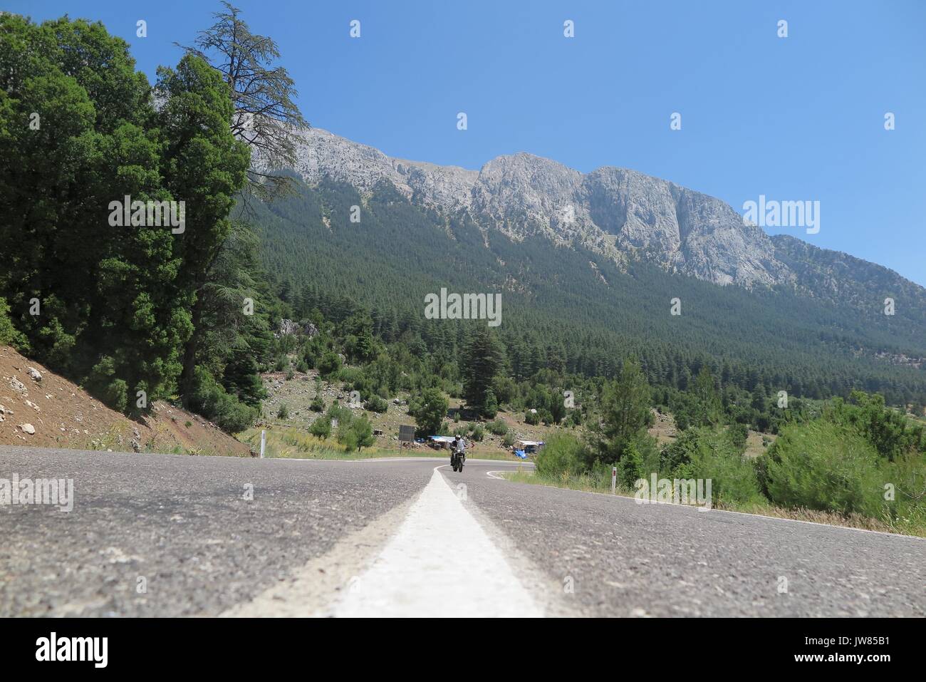 Biker ist Motorrad fahren auf der Straße. Blick auf die Berge und den Wald. Stockfoto