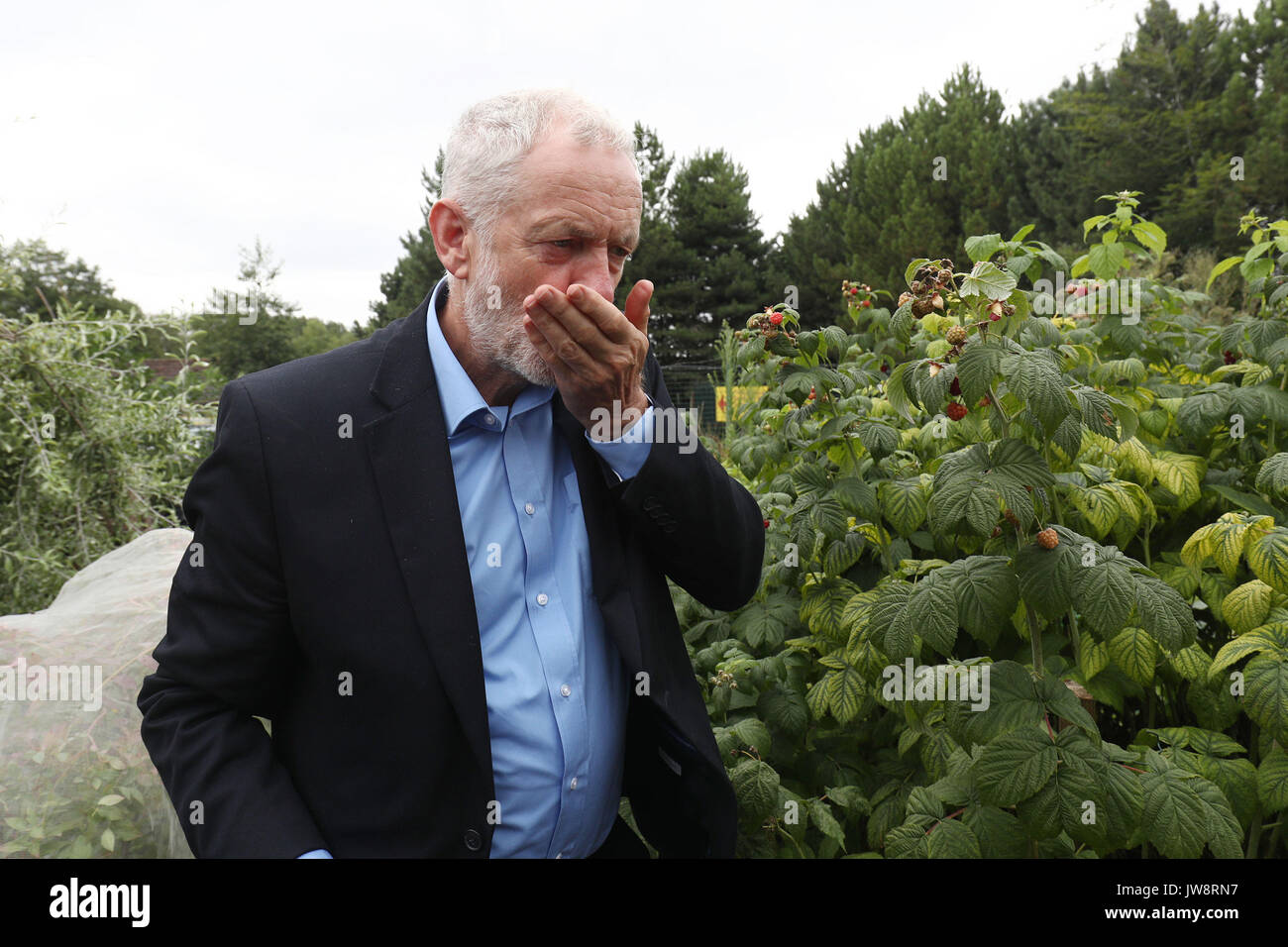 Der Führer der Jeremy Corbyn isst Beeren bei einem Besuch im Olive Tree Cafe in Swindon. Stockfoto